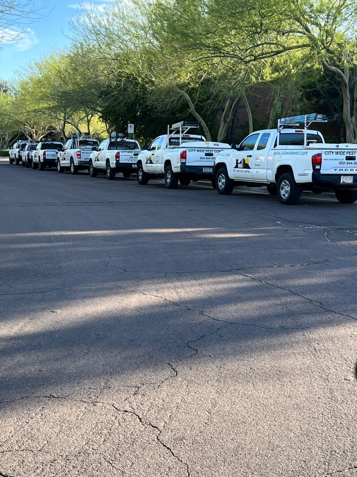 city-wide-pest-control-inc
