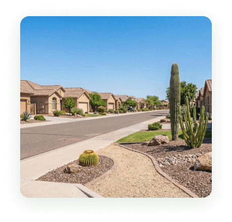 A residential street with desert landscaping in Mesa, Arizona