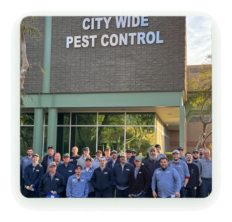 City Wide Pest Control's family owned team outside the Phoenix office