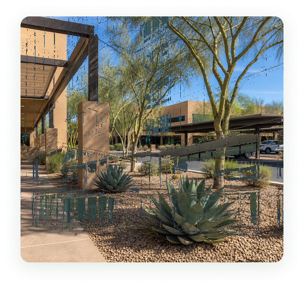 A desert business park in Phoenix served by commercial pest control